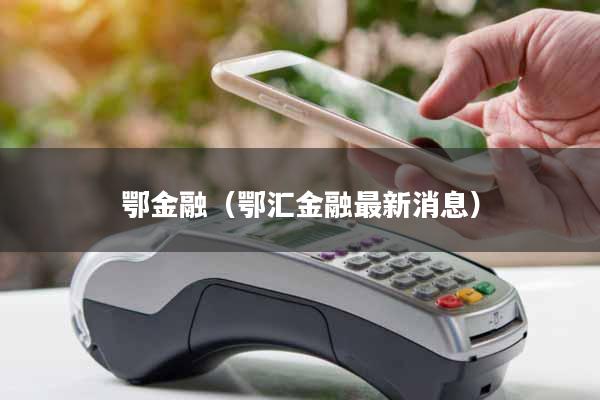 鄂金融(鄂汇金融最新消息)